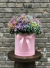 Цветочная композиция из Гипсофила и Розы в шляпной коробке в Арамиле