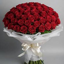 Букет 101 Красная роза Блэк Мэджик в Арамиле